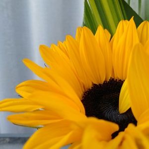 Meet your Posher, Velda